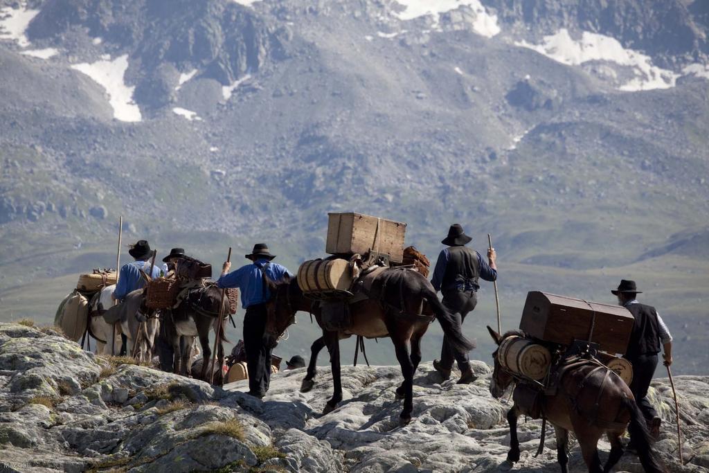 Hotel Grimsel 3*